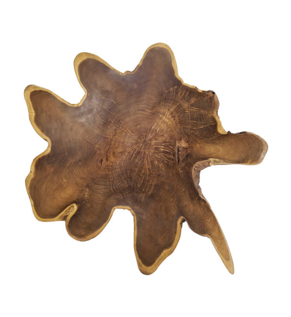 RUEDA TRONCO ÁRBOL GRANDE