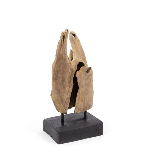 FIGURA EROSI TEKA NATURAL