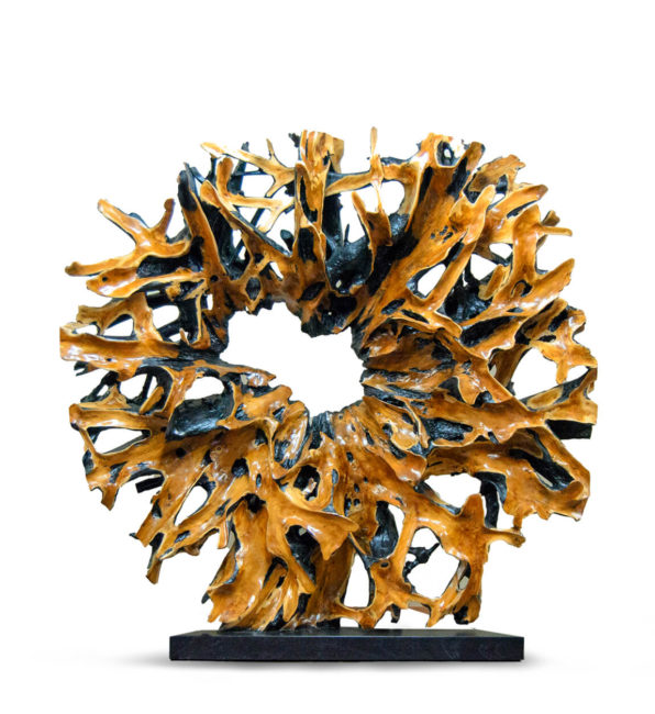 SEPARADOR RAÍZ NEGRO